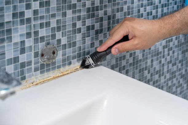 Attic Mold Removal in Vernonia, OR
