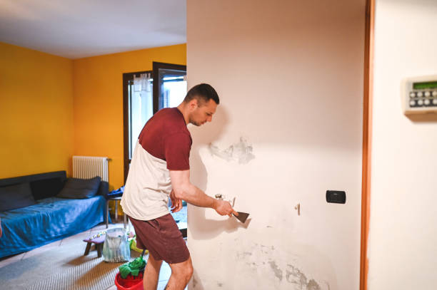 Best Commercial Mold Removal  in Vernonia, OR
